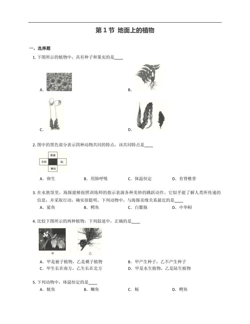 5.11.1 地面上的植物同步练习（含答案）苏科版