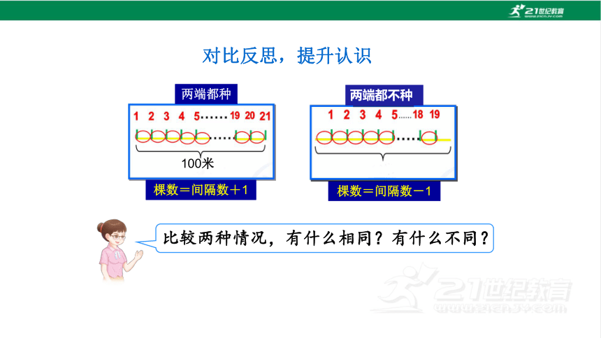 新人教版数学五年级上册7.2 两端都不栽的植树问题课件（17张PPT)