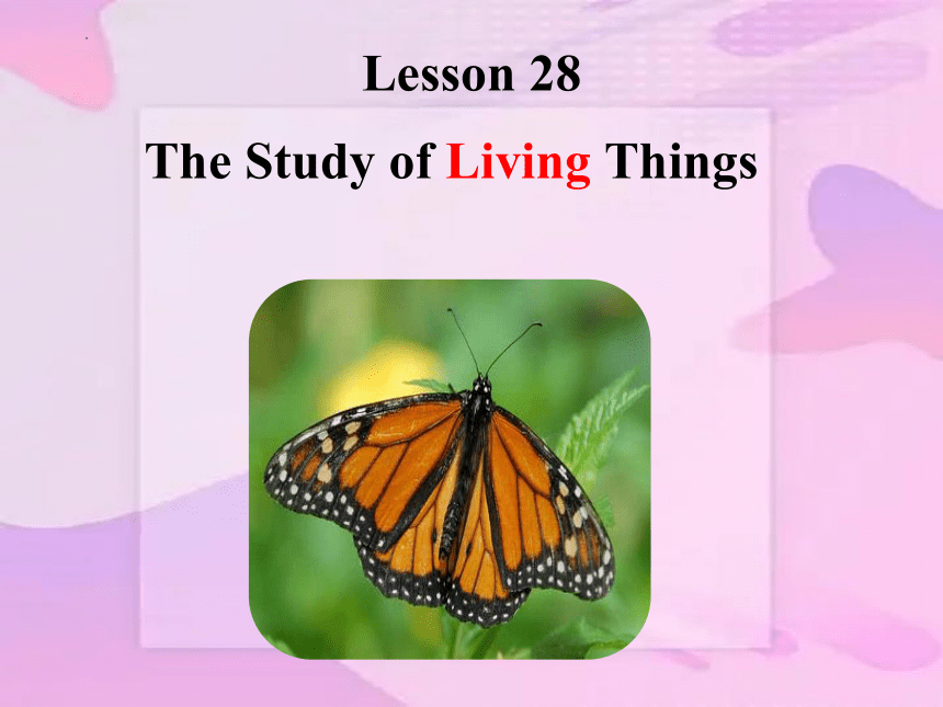 Lesson 28 The Study of Living Things 课件(共15张PPT)冀教版英语九年级全册