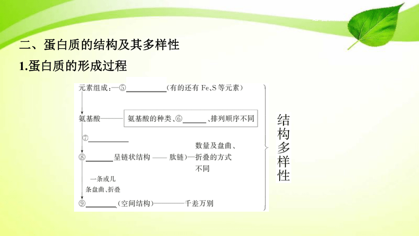 高考生物专题课件3：蛋白质、核酸、糖类和脂质(共72张PPT)