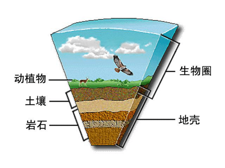 1.2.3 生物圈是最大的生态系统  课件(共22张PPT)2022-2023学年人教版生物七年级上册