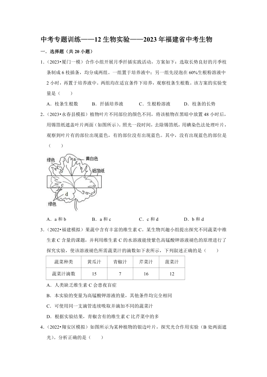 中考专题训练——12生物实验——2023年福建省中考生物（含解析）