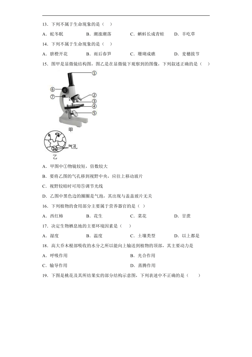 青海省西宁市城西区青师大附中2022-2023学年七年级上学期12月月考生物学试题（含答案）