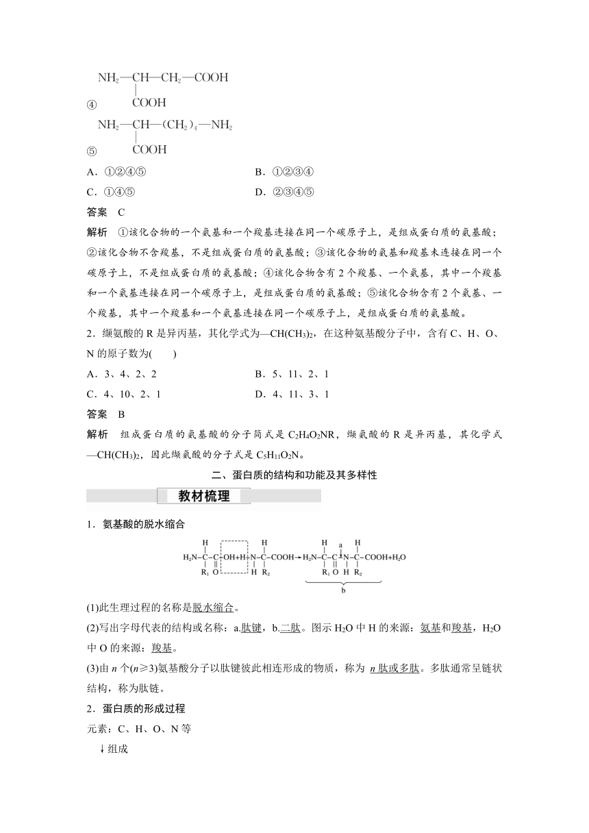 2022-2023学年苏教版2019高中生物必修1 第一章 第三节 第1课时　细胞的功能主要由蛋白质完成（学案+课时对点练 word版含解析）