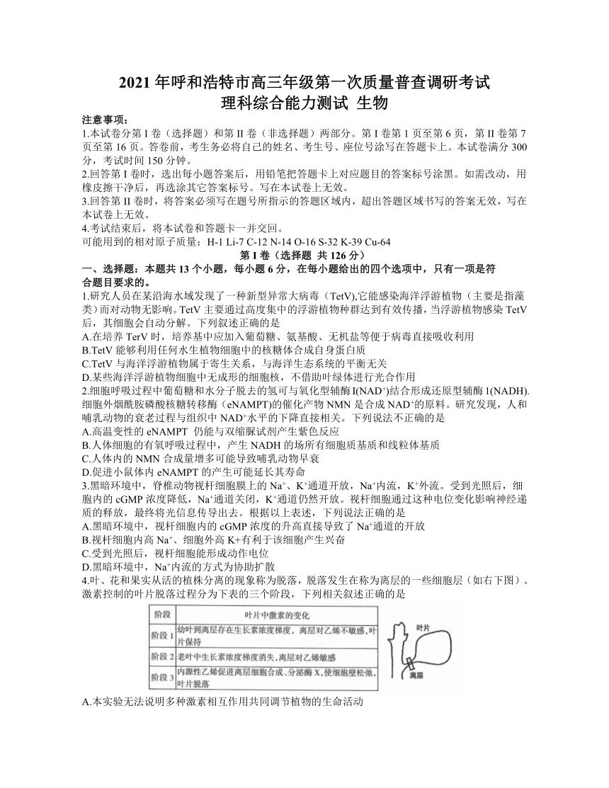 内蒙古呼和浩特市2021届高三下学期第一次质量普查调研考试（3月）理科综合生物试题 Word含答案