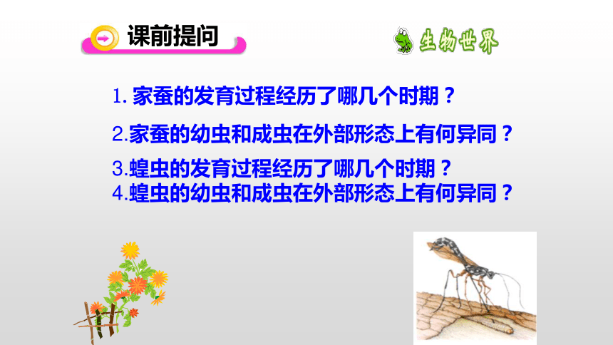 7.1.3两栖动物的生殖和发育课件(共18张PPT)2022--2023学年人教版八年级生物下册