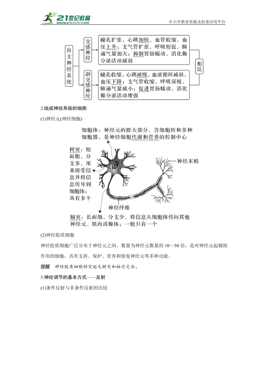 新高考生物一轮考点梳理&分层训练：第8单元 稳态与调节 第23讲　神经调节（含答案）