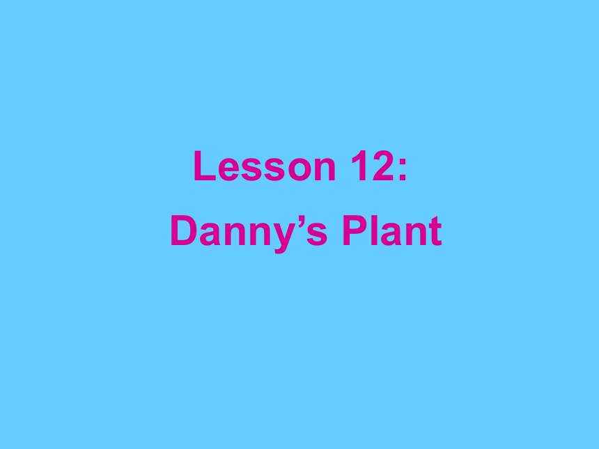 冀教版八年级英语下册 Unit 2 Plant a Plant lesson 12 Danny's Plant课件（12张ppt）