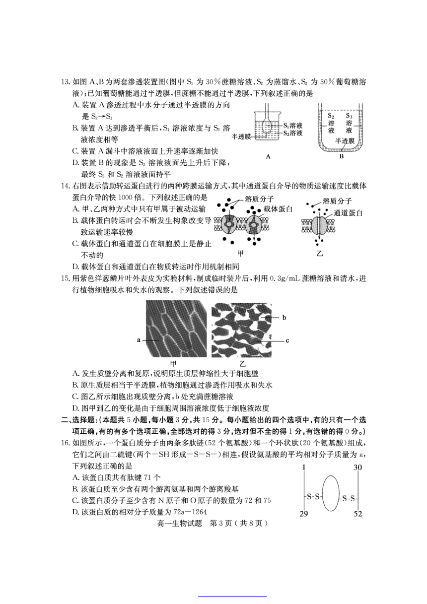 山东省聊城市2021-2022学年高一上学期期中考试生物试题（PDF版含答案）