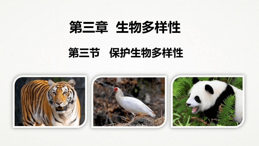 华东师大版七年级上册第三章第三节《保护生物多样性》（课件 共26张ppt）