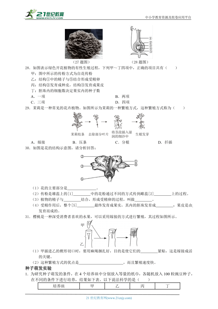 浙教版七年级下册科学期中重难点复习-植物与微生物生殖方式（含答案）