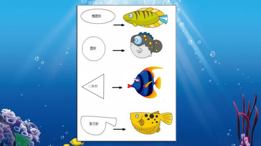 四年级美术上册课件-8.做做海洋生物 苏少版(共18张PPT)