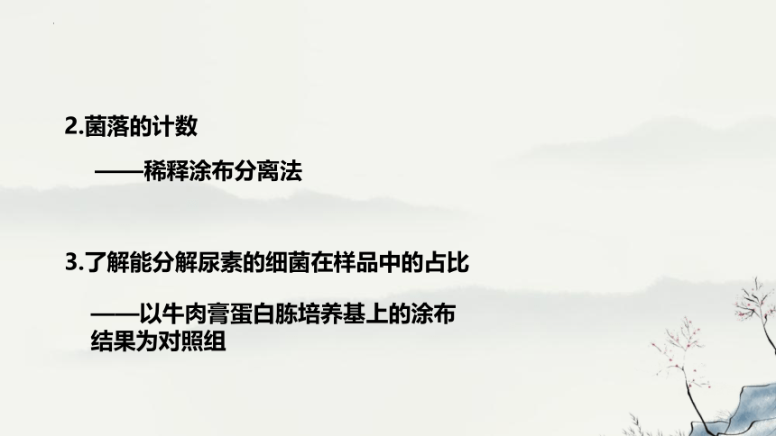 1.2.2土壤中分解尿素的细菌的分离与计数课件(共27张PPT)-人教版选择性必修3