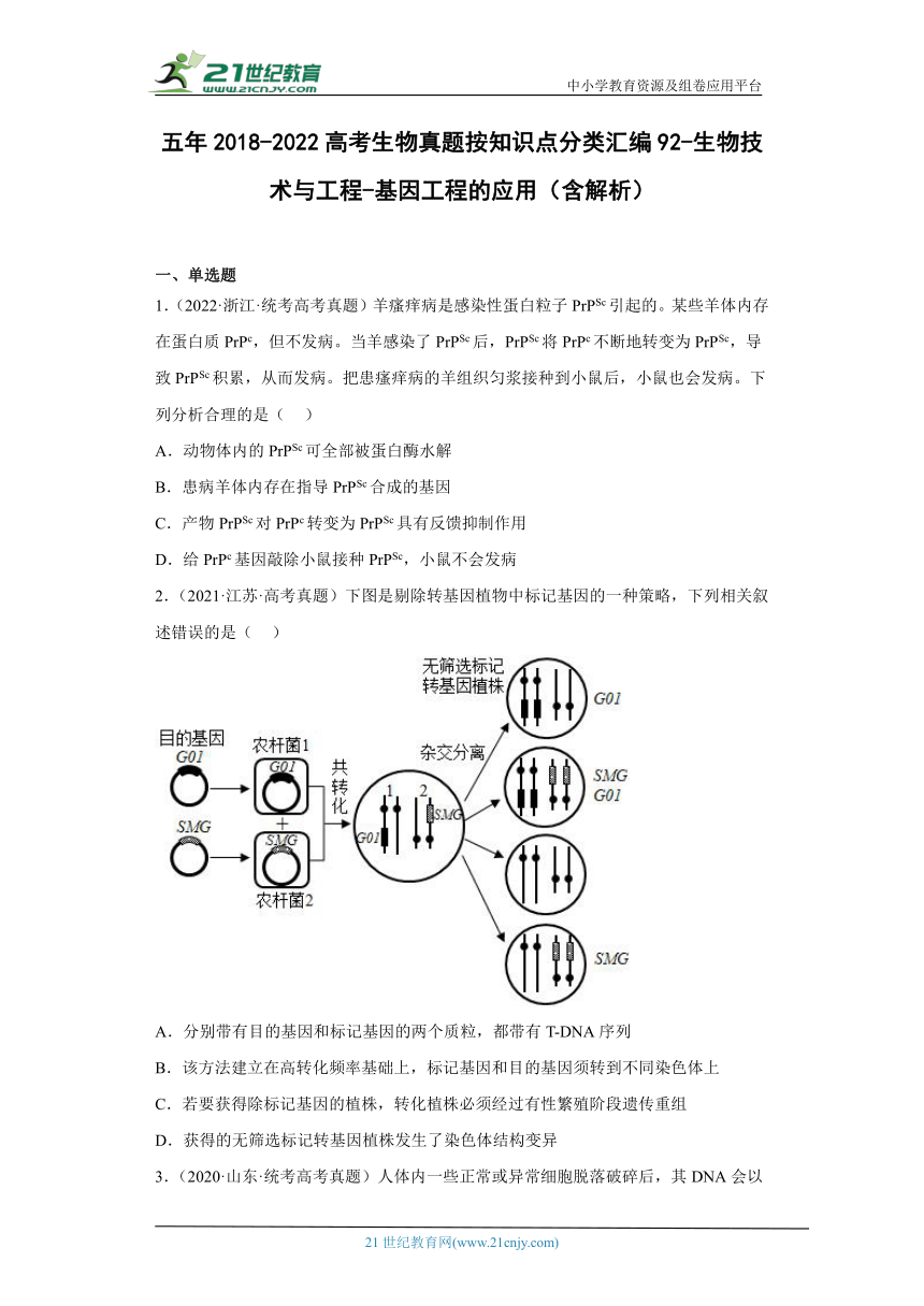 五年2018-2022高考生物真题按知识点分类汇编92-生物技术与工程-基因工程的应用（含解析）