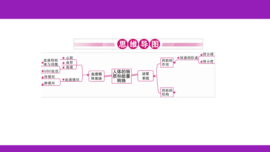 2023浙江中考一轮复习 第7课时 人体的物质和能量转换（二）（课件 60张ppt）