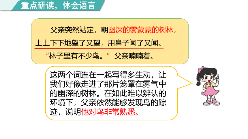 23.《父亲、树林和鸟》 第二课时课件(共50张PPT)