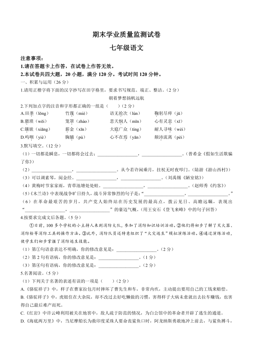 辽宁省大连市金普新区2020-2021学年七年级下学期期末语文试题（Word版，含答案）