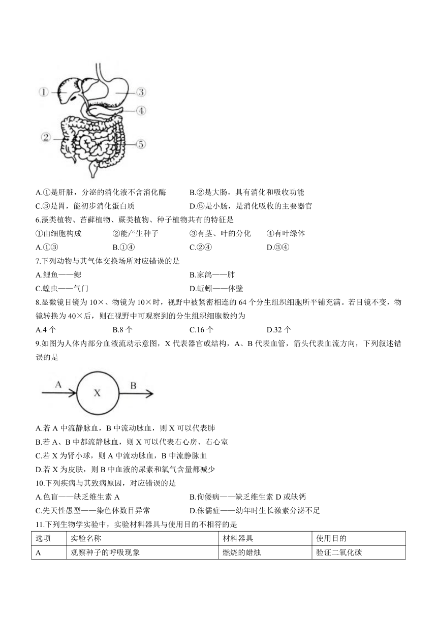 2022年山东省济南市八年级学业水平测试生物真题（Word版，含答案）