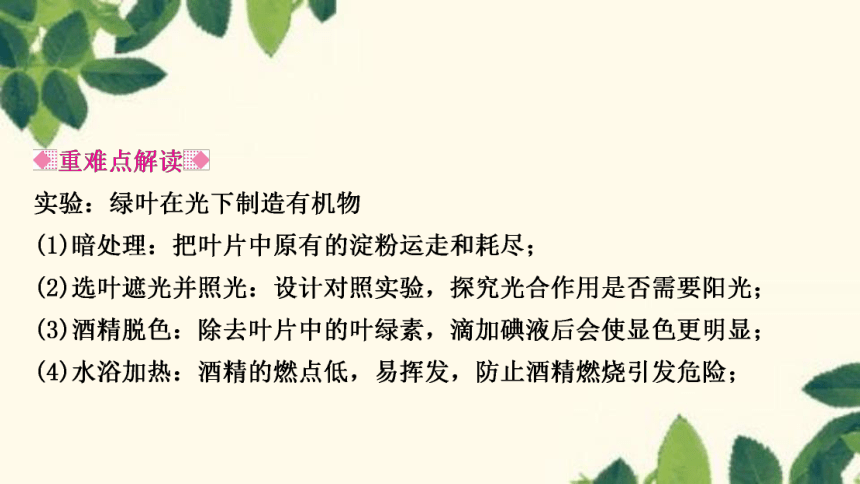 人教版生物七年级上册 第四章　绿色植物是生物圈中有机物的制造者 课件（共21张PPT）