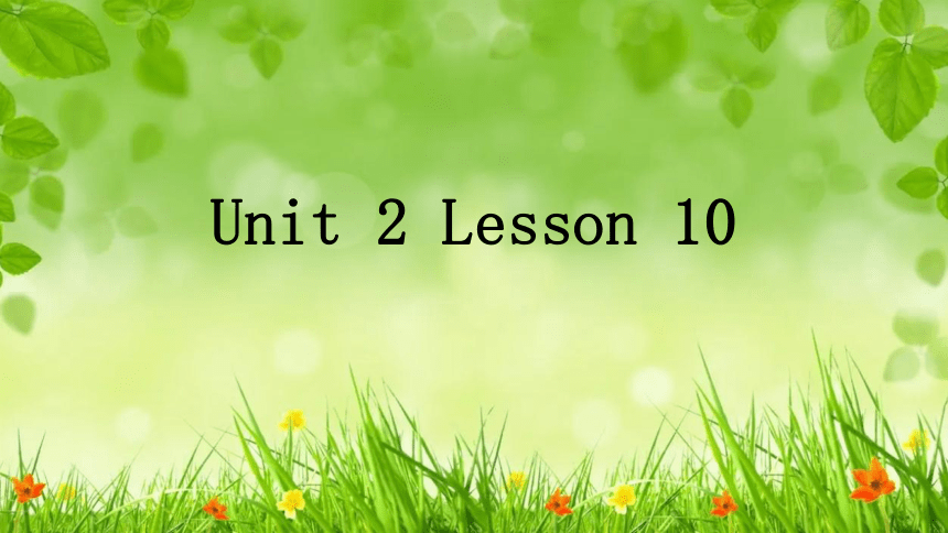 Unit 2 Lesson 10 Touch the World课件 2022-2023学年英语冀教版九年级全册(共16张PPT)