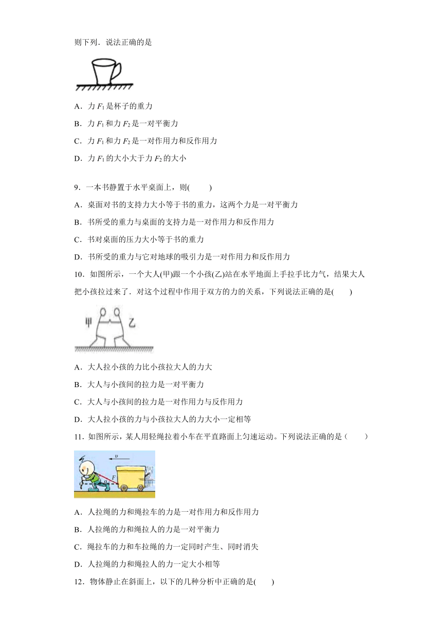 山东省济南历城四中2020-2021学年鲁科版（2019）必修第一册：5.4牛顿第三运动定律 跟踪训练（含解析）