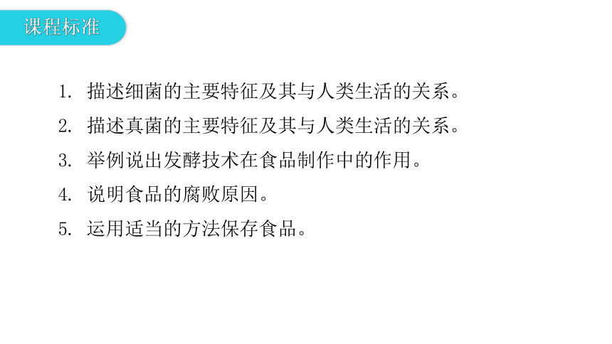 人教版生物八年级上册 第五单元 第四章 细菌和真菌章末总结课件（共39张PPT）