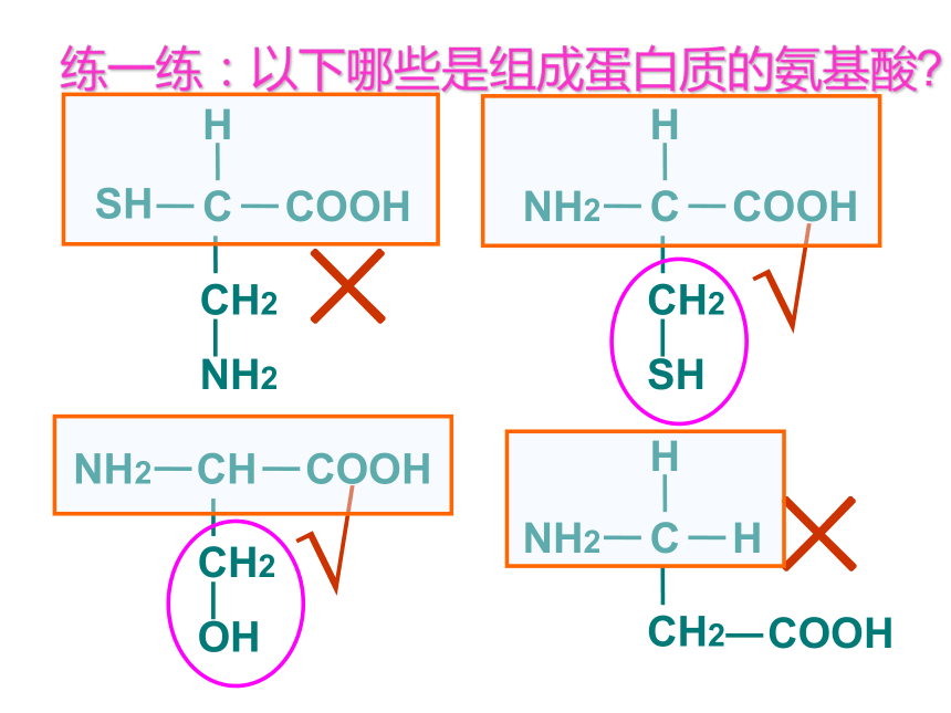 人教版高中必修一生物：2.2《生命活动的主要承担者――蛋白质》(41张PPT)