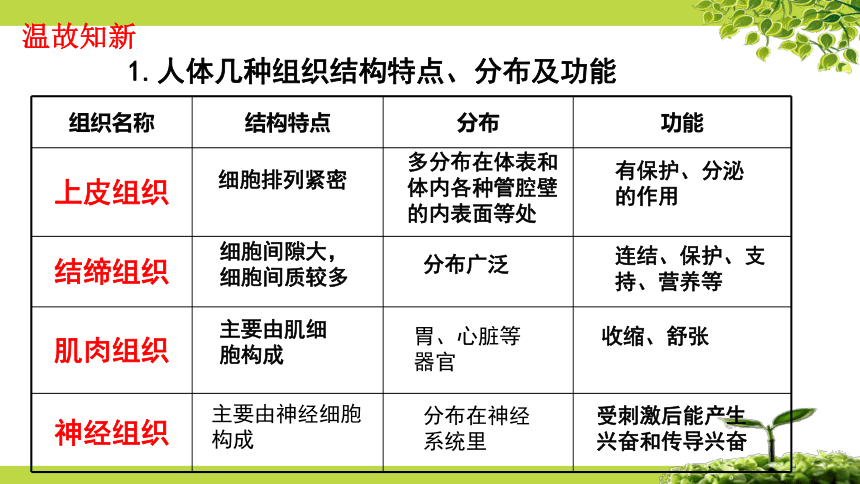 9.3 单细胞的生物体（第1课时）课件七年级生物下册（苏科版）（共29张PPT）