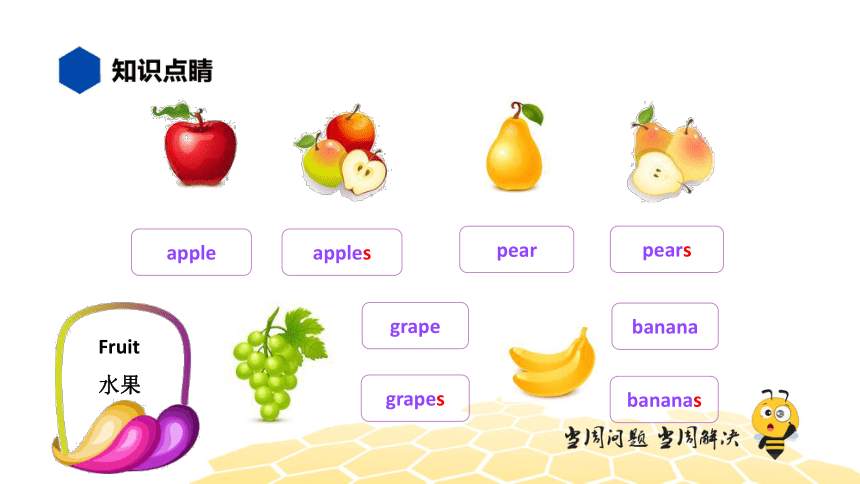 英语四年级【知识精讲】2.单词、词组(5)单词词组——水果和蔬菜（13张PPT）