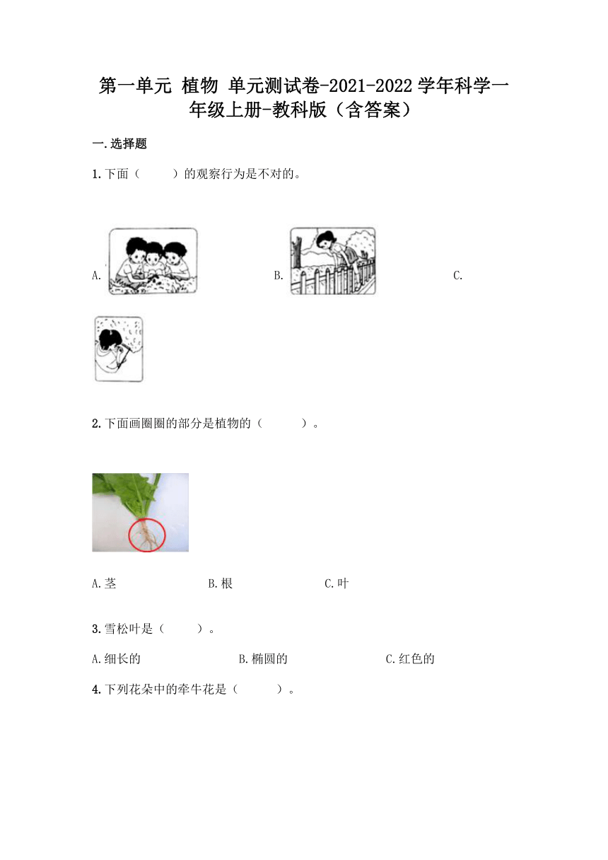 2021-2022学年教科版（2017秋）科学一年级上册第一单元 植物 单元测试卷（含答案）