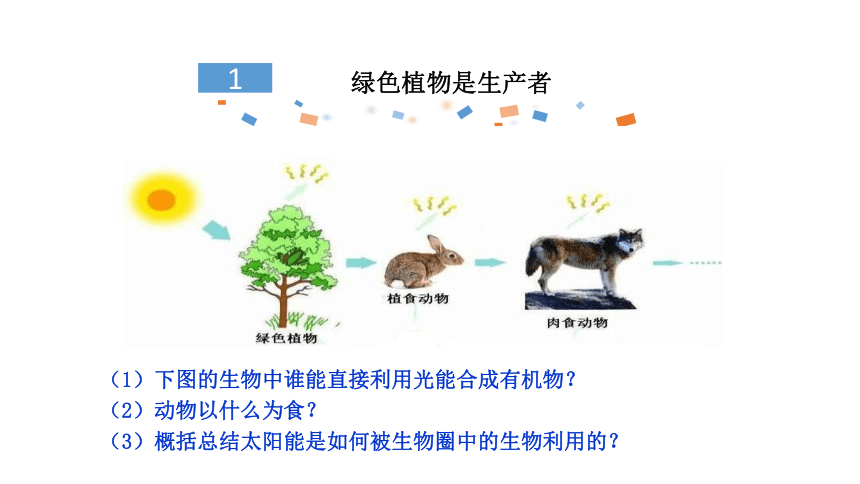 2021-2022学年北师大版七年级生物上册3.7.1绿色植物在生物圈中的作用  课件(共24张PPT)