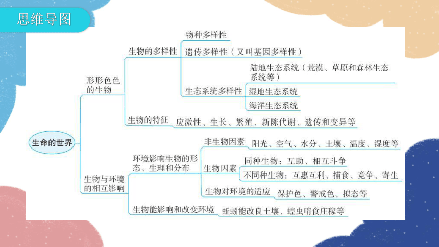 北师大版生物七年级上册 章末总结第1单元 认识生命第1章 生命的世界课件(共27张PPT)