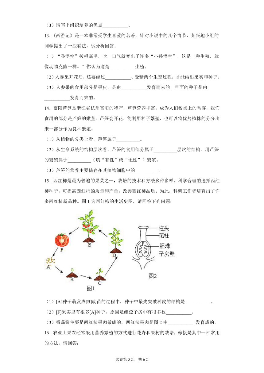 1.5植物生殖方式的多样性 同步练习（含解析）