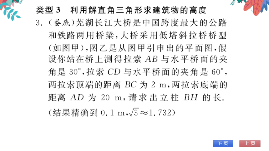 【华师大版】数学九年级上册 第24章 专题七 解直角三角形的应用 习题课件