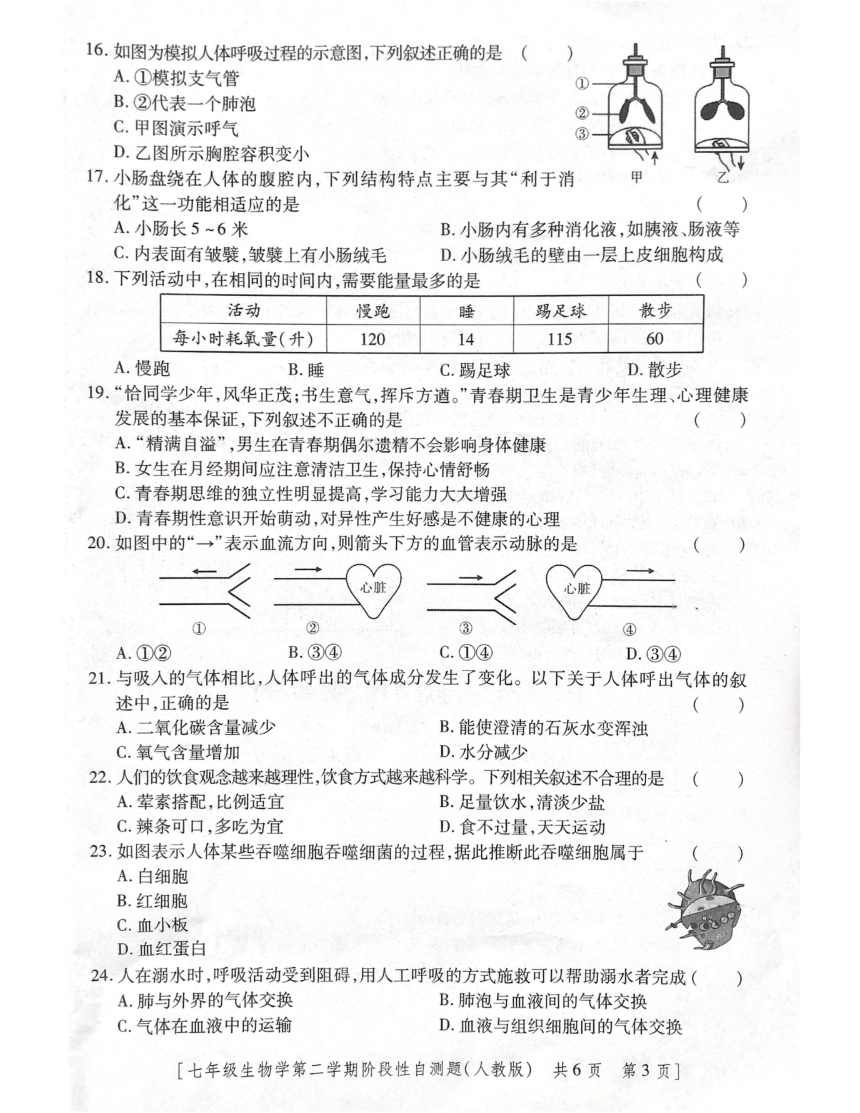 陕西省咸阳市兴平市2022-2023学年七年级下学期期中生物试题（PDF版无答案）