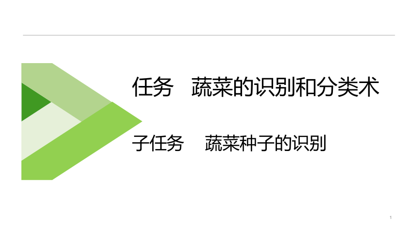 1.2.1蔬菜种子的识别 课件(共34张PPT)-《蔬菜生产技术》同步教学（中国农业出版社）