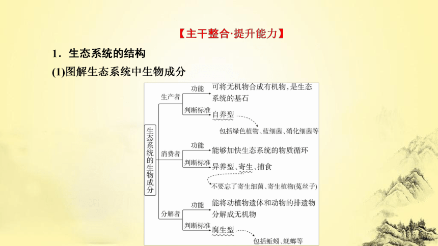 新人教生物二轮复习课件13 生态系统和环境保护(课件共54张PPT)