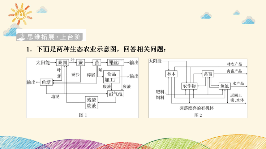 高考生物二轮重点讲练课件：社会责任之微专题3 生态农业及生物多样性保护(共23张PPT)