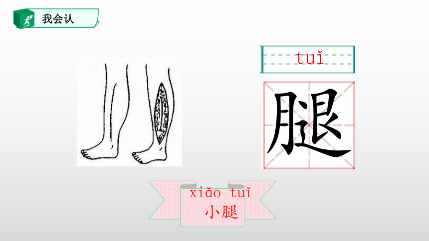 统编版一下 语文园地四 课件(共30张PPT)