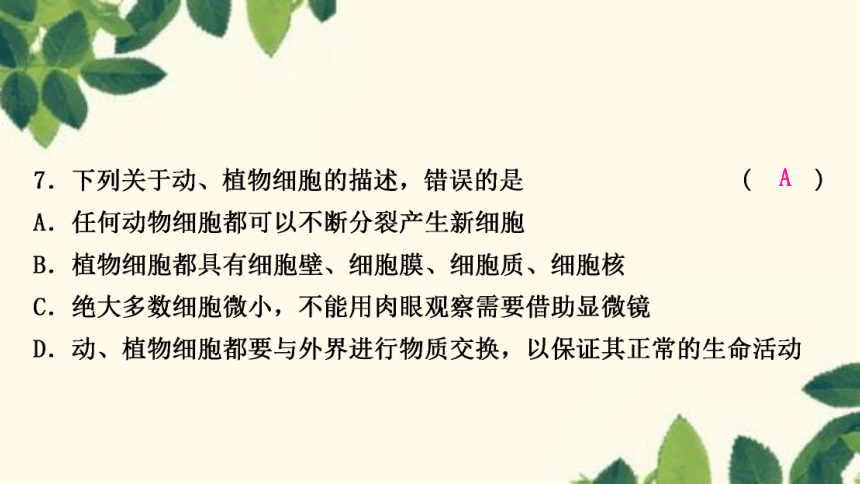 人教版生物七年级上册 期末复习专题(二)　第二单元生物体的结构层次 习题课件 (共22张PPT)