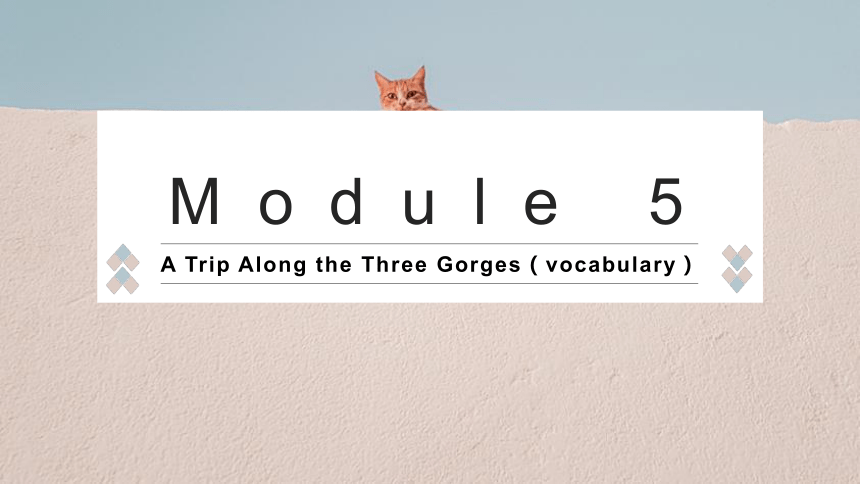 外研版必修4Module 5 A Trip Along the Three Gorges vocabulary课件(共15张PPT)
