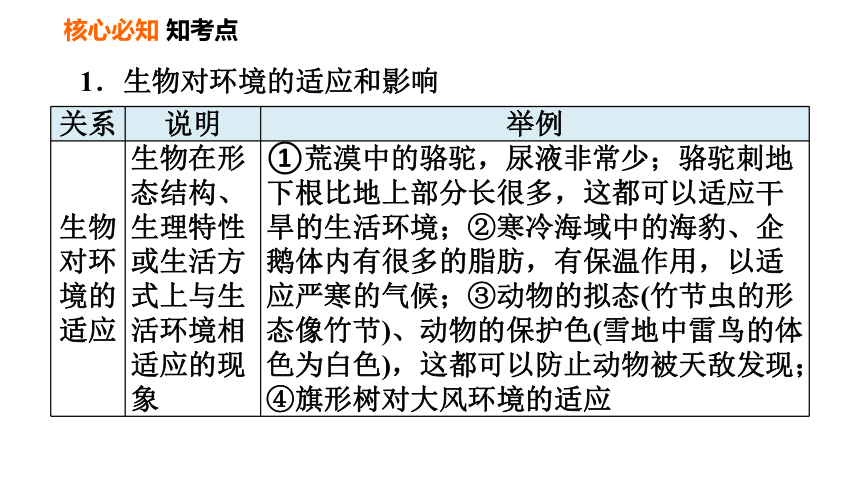 初中生物 人教版 七年级上册第三单元　第一章第二章 了解生物圈复习课件（36张PPT）