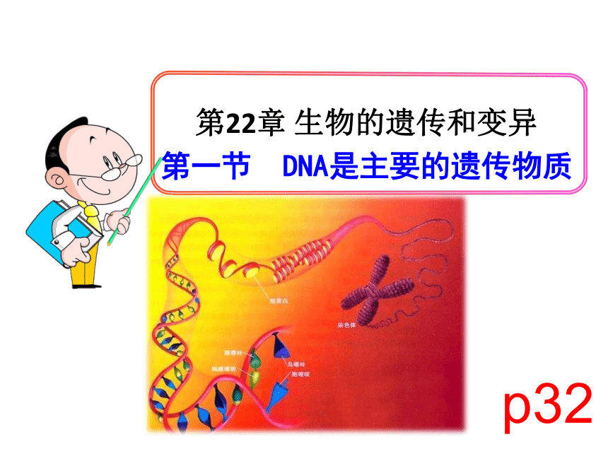 _8.22.1DNA是主要的遗传物质 课件2020-2021学年苏教版八年级下册生物（31张ppt）