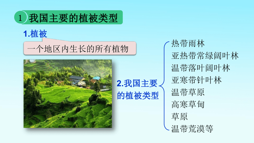 2021-2022学年初中生物人教版七年级上册 3.6爱护植被，绿化祖国课件   （共28张PPT）