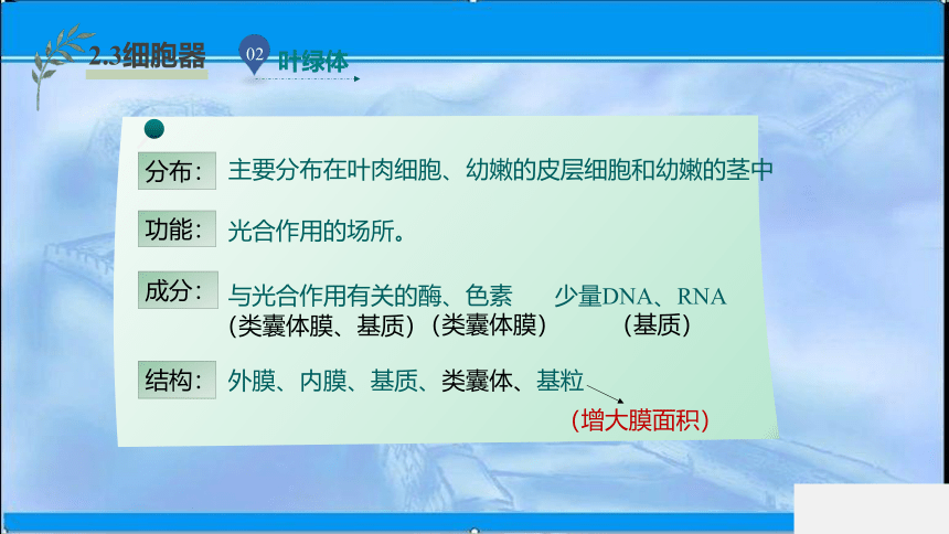 2020-2021学年苏教版（2019）高中生物： 必修1  2.2.2 结构与功能独特的细胞器 课件（35张ppt）