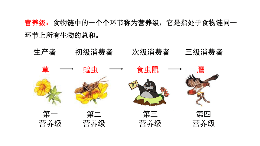 第23章 生态系统及其稳定性第3节 生态系统的结构和功能  课件(共24张PPT)