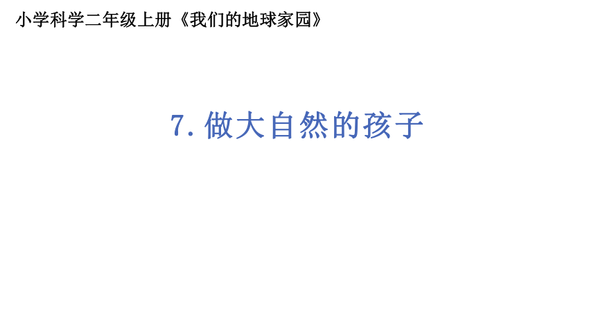 教科版（2017秋）二年级上册17《做大自然的孩子》（ 课件13张ppt）