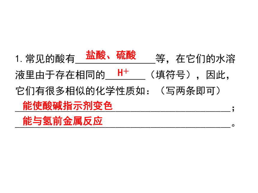 实验活动6酸、碱的化学性质 课件（21张ppt）