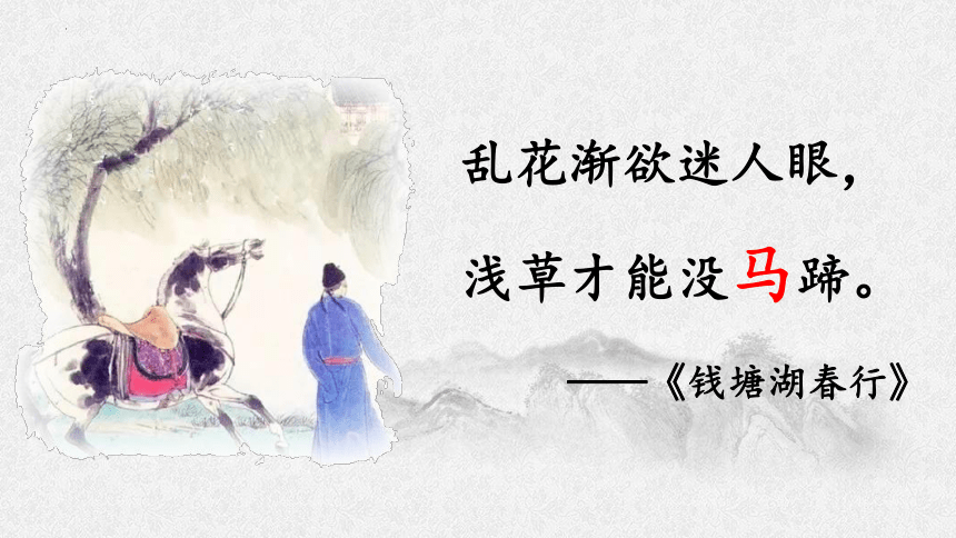 10古诗三首《马诗》课件(共21张PPT)