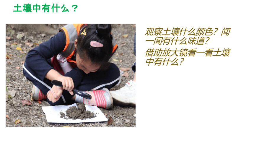 冀人版（2017秋）四年级下册1.1.土壤的组成（课件11张ppt）